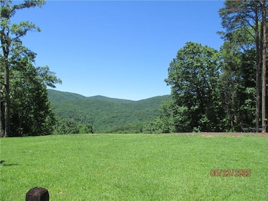View of tree filled area