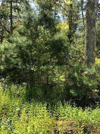 0 Drift Rd unit 72332240, Westport, MA 02790 - photo 7