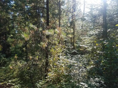 TBD Quinns Meadow Rd, Colville, WA 99114 - photo 4