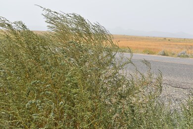 430 W Guymas Trail unit 498, Paulden, AZ 86334 - photo 2