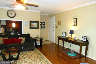 3706 N Rosser St unit 202, Alexandria, VA 22311 - photo 3
