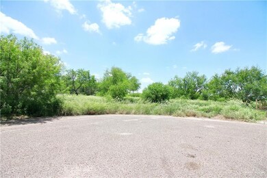 6909 Kathy Ln, Donna, TX 78537 - photo 3