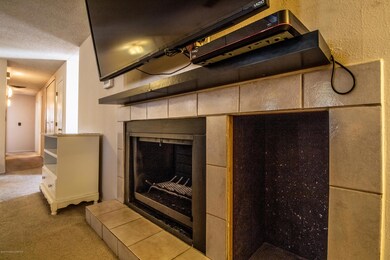 Wood Burning Fireplace