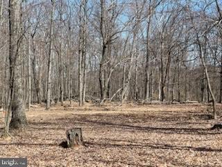 12629 Mountainhouse Ln, Hillsboro, VA 20132 - photo 5