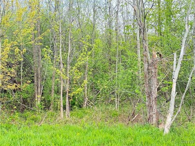 0 Klocks Corners Rd, Scriba, NY 13126 - photo 6