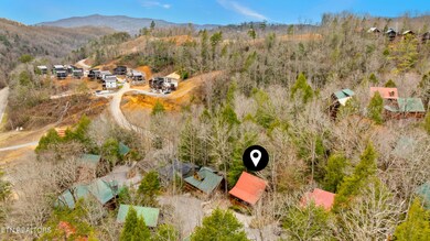 DJI_0431