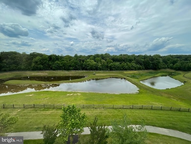 8600 Roaming Ridge Way unit 403, Odenton, MD 21113 - photo 6