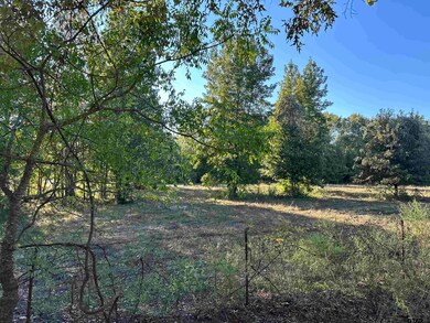 TBD County Road 3701, Murchison, TX 75778 - photo 7