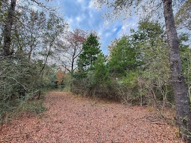 13 ac Highway 75 N, Buffalo, TX 75831 - photo 2