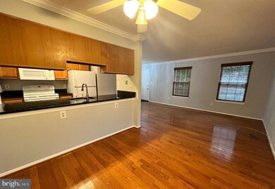 9740 Pleasant Gate Ln, Potomac, MD 20854 - photo 2