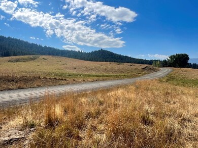 Spacious Lot With Usable Spaces