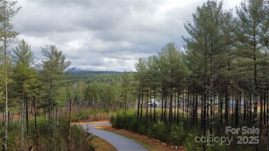 26 Peninsula Reserve Rd unit 26, Nebo, NC 28761 - photo 2
