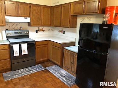 17018 E Thompson Rd, Opdyke, IL 62872 - photo 5