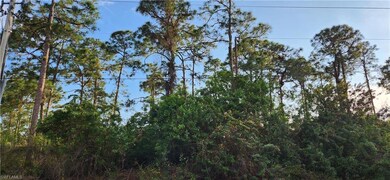 18th Ave Ave NE, Naples, FL 34120 - photo 5