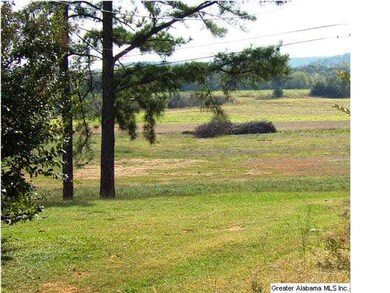 View from the front porch