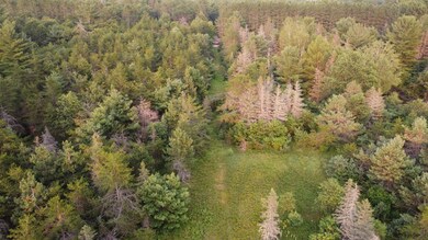 ON Pine Rd N, Tomahawk, WI 54487 - photo 3