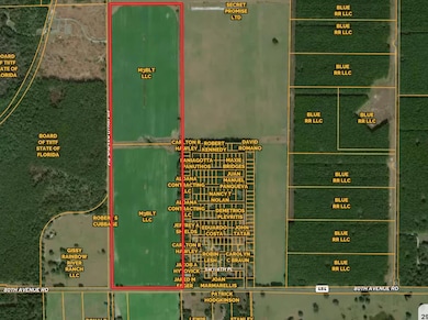 000 SW 180th Ave, Dunnellon, FL 34432 - photo 7