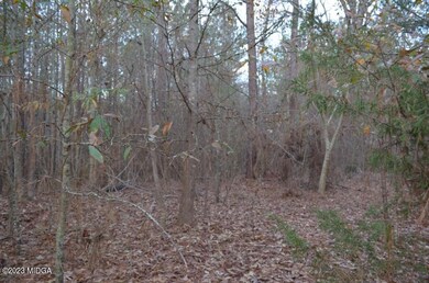 Lot12StricklandLoopTerrain