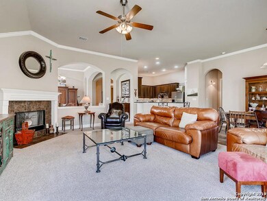 11527 Viridian Place, Helotes, TX 78023 - photo 6