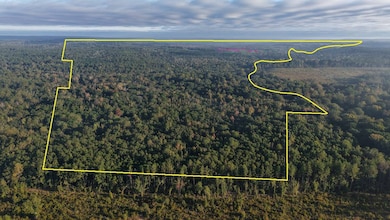 0 Lloyd Mill Rd unit 11615934, Andalusia, AL 36421 - photo 3