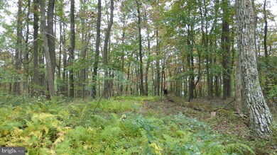 0 Top of Mountain Rd, Moorefield, WV 26836 - photo 4