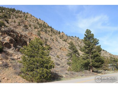 0 Poudre Canyon Hwy unit 850119, Bellvue, CO 80512 - photo 7