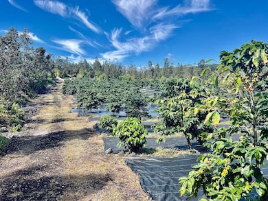 0 Road 4 (Io Kea) unit 724774, Mountain View, HI 96760 - photo 2