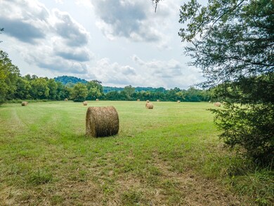 0 Fayetteville Hwy unit RTC2993836, Petersburg, TN 37144 - photo 7