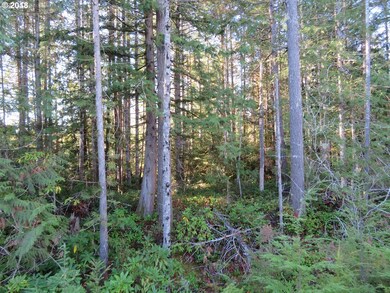 0 Wayne Rd W unit 1 18389154, Seabeck, WA 98380 - photo 4