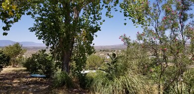 views3
