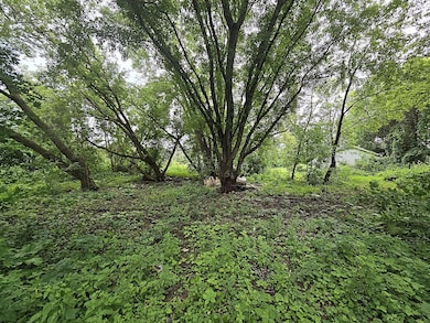 Wooded Lot