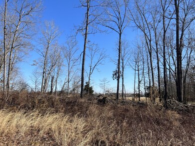 0 Whispering Winds Dr unit RTC2353344, Manchester, TN 37355 - photo 6