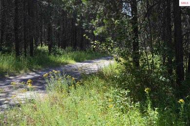 nna E Jensen Ln, Athol, ID 83801 - photo 2