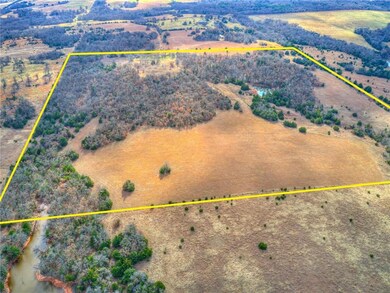 Looking from NORTH edge of property. (Boundary lin