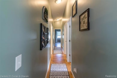 716 Ternes Rd, Tecumseh, MI 49286 - photo 5