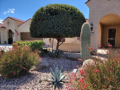 front landscaping