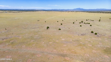DJI_0155