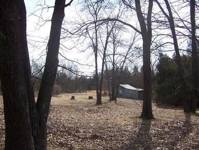 Garden and Garden shed