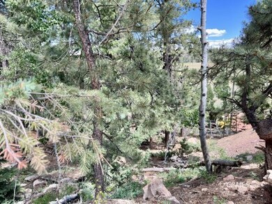 930 E Appaloosa Dr, Duck Creek Village, UT 84762 - photo 7