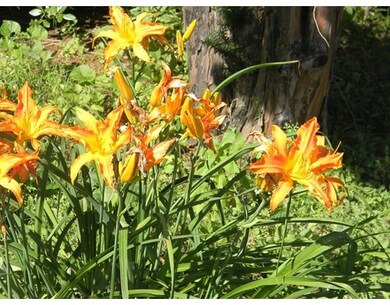 55 S Royalston Rd, Royalston, MA 01368 - photo 3