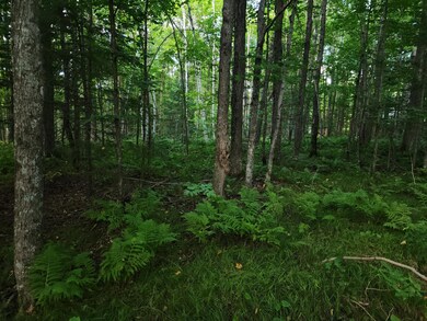 ON East Ln, Crandon, WI 54520 - photo 5