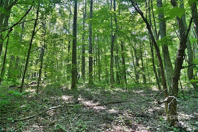 99999 Upward Way unit 36, Waynesville, NC 28785 - photo 7