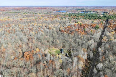 10593 E Remus Rd, Mount Pleasant, MI 48858 - photo 3