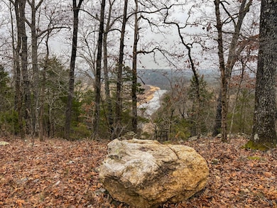 01 Norfork Village St, Tecumseh, MO 65760 - photo 2