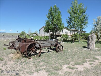 Established tree in yard