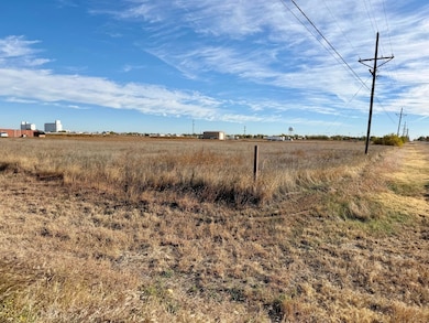 10800 Peggy Ln, Dumas, TX 79029 - photo 3