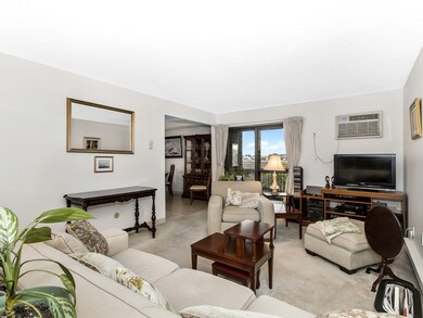 47 Mystic St unit 6F, Arlington, MA 02474 - photo 3