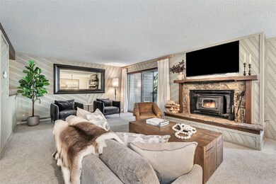 2617 Burgess Creek Rd unit A102, Steamboat Springs, CO 80487 - photo 2