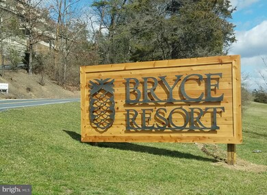 0 Palmer Rd unit 1003241395, Basye, VA 22810 - photo 7