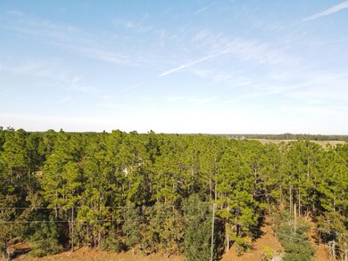 0 SW 60th Terrace unit R10848029, Ocala, FL 34473 - photo 2